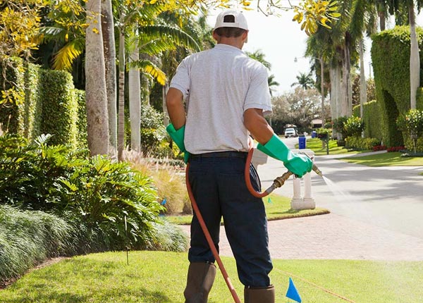 About Williams AZ Pest Control